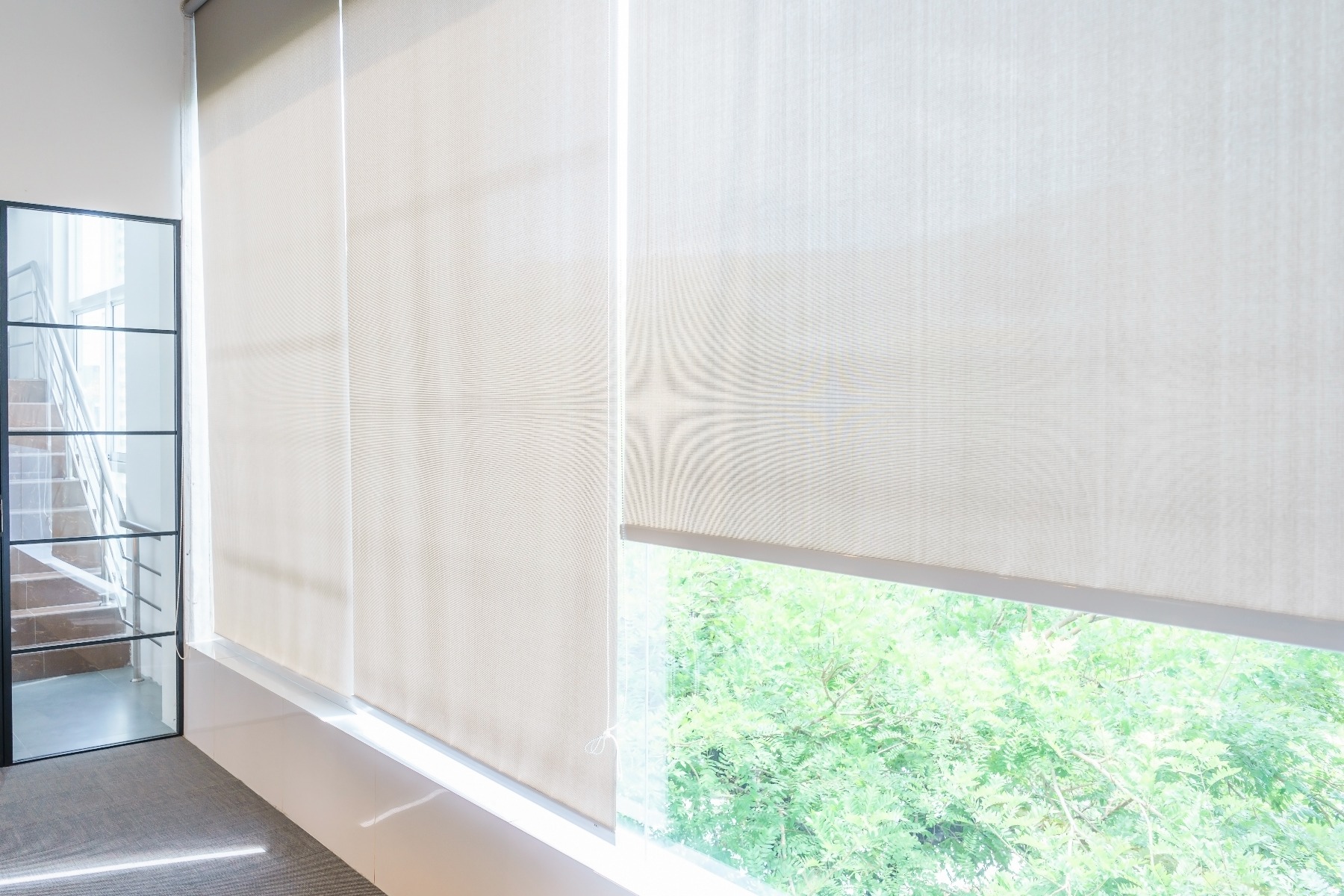roller blinds